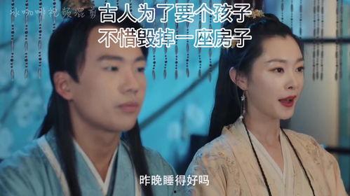 赘婿14在线视频,逆袭之路，权谋风云再起