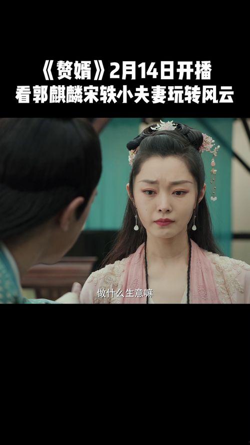 赘婿14在线视频,逆袭之路,权谋风云再起