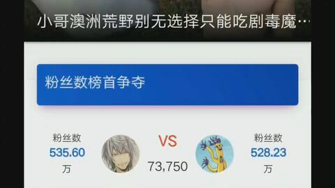 u罗汉在线视频,揭秘神秘修行者的智慧之旅